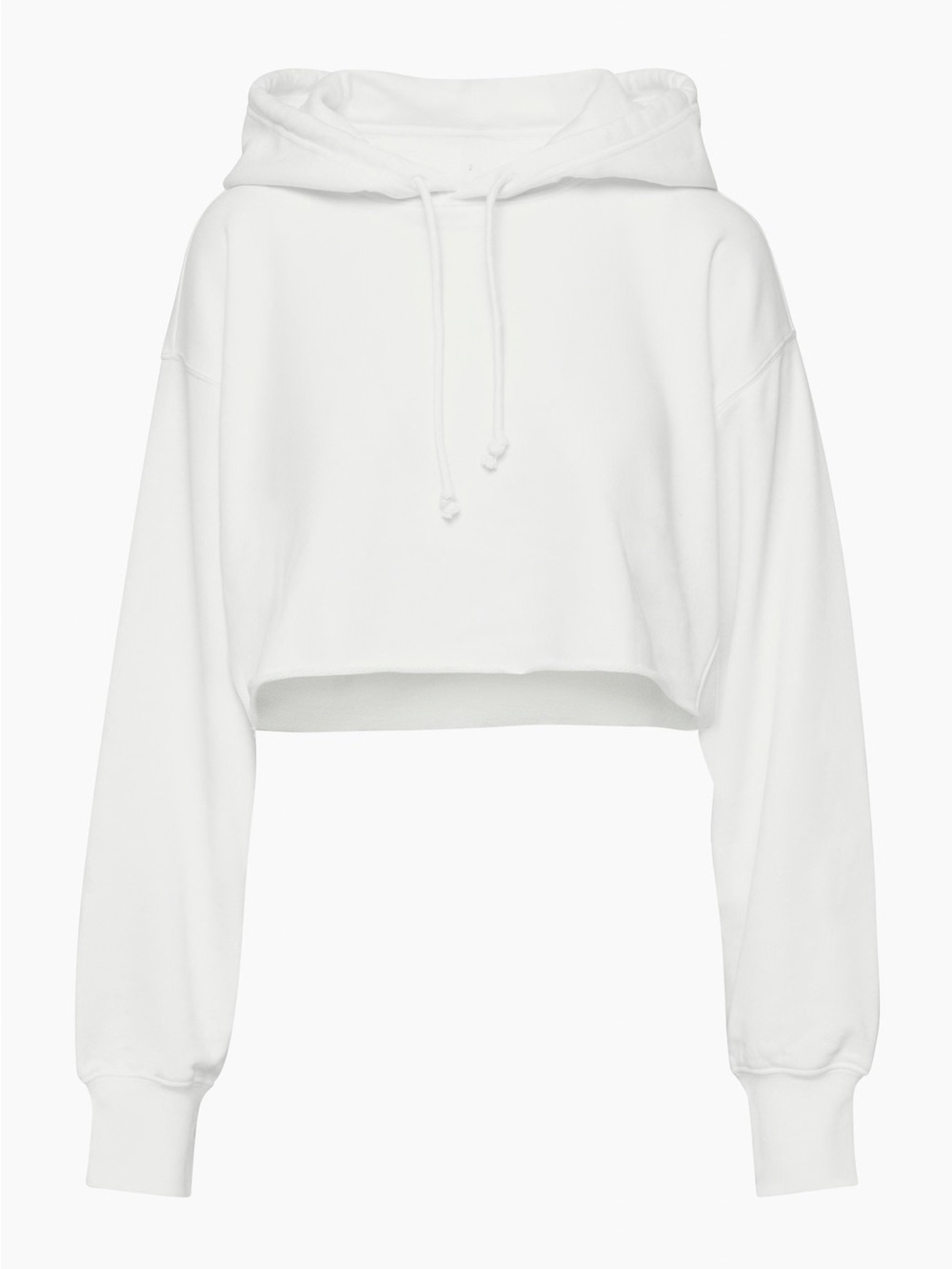 Aritzia The Constant Flash Hoodie